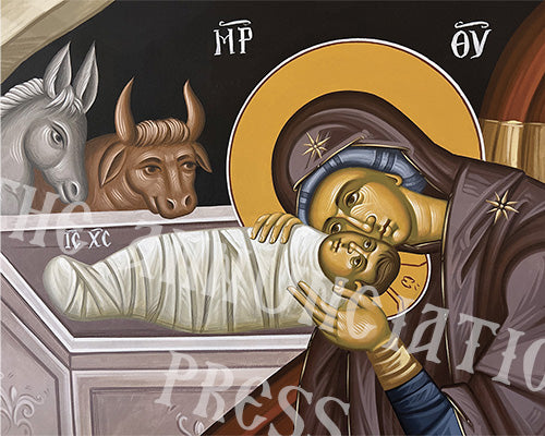 Nativity of Christ (Detail)